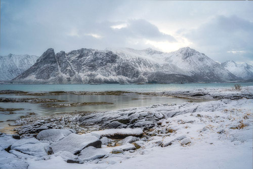 Ice Blue Poster Print - Danny Head