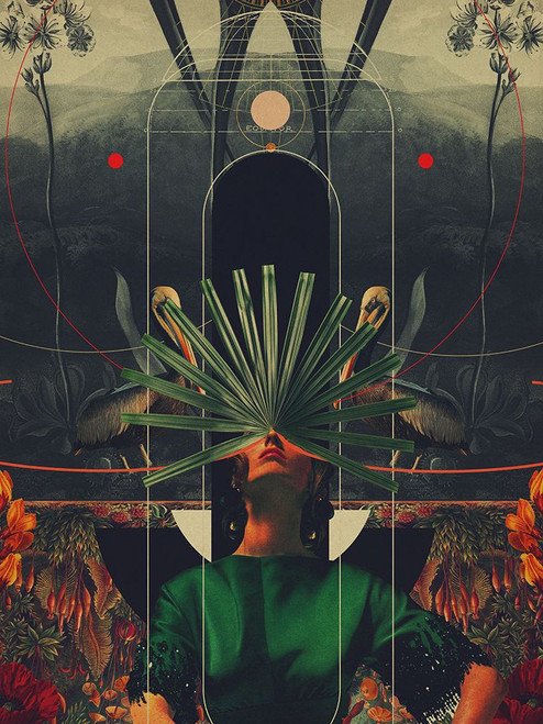 She Saw the Equator Poster Print - Frank Moth