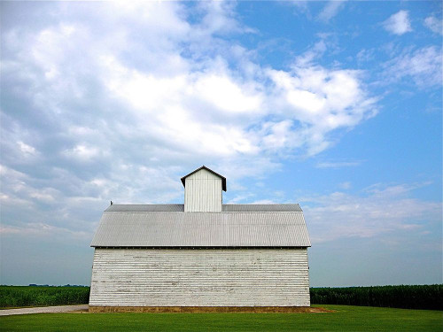 Barn 3 Poster Print - Rachel Lee