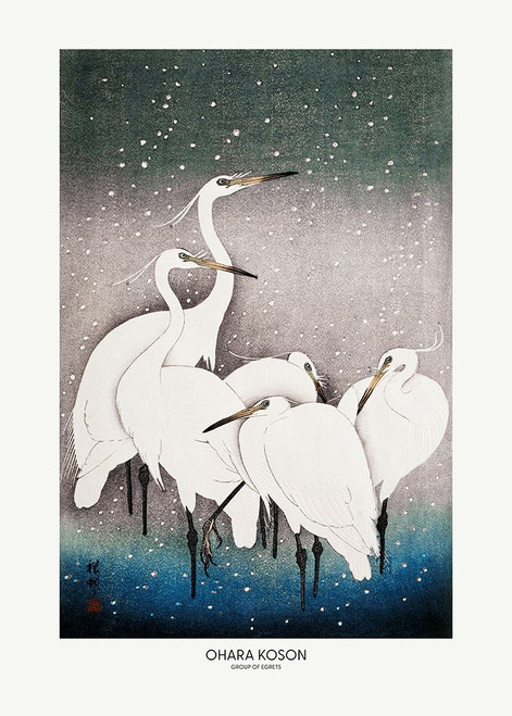 Group Of Egrets Poster Print - Pictufy
