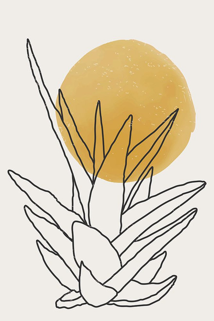 Abstract Agave Sunshine #2 Poster Print - Jay Stanley