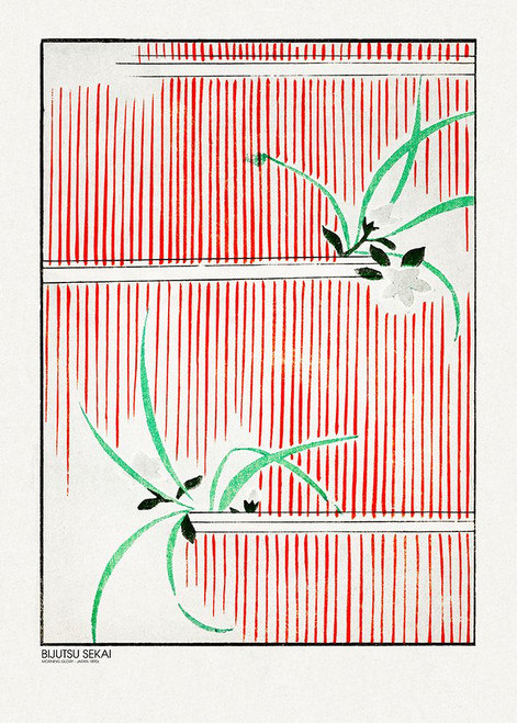 Morning Glory Poster Print - Pictufy