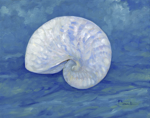 Impressions of Shells III - Nautilus - Indigo Poster Print - Paul Brent