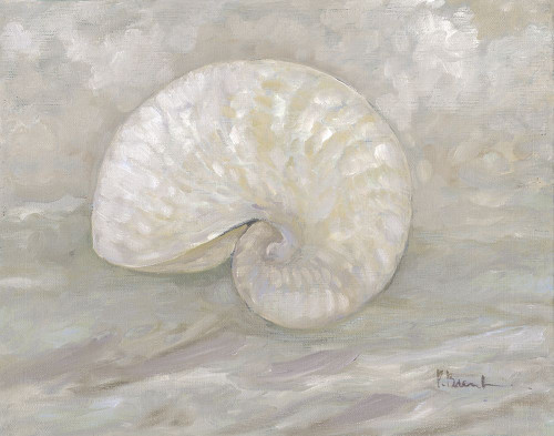 Impressions of Shells III - Nautilus - Neutral Poster Print - Paul Brent
