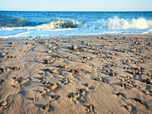 Beach 21 Poster Print - Rachel Lee