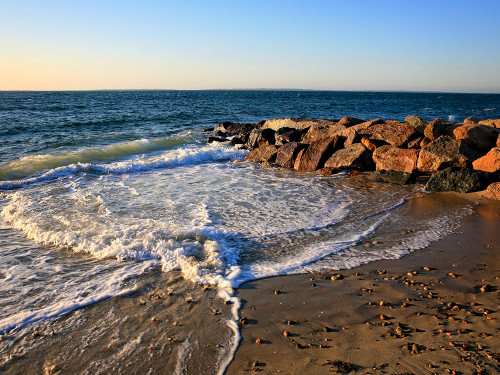 Beach 16 Poster Print - Rachel Lee