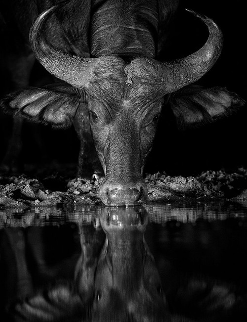 CONCENTRATION Poster Print - Jaco Marx