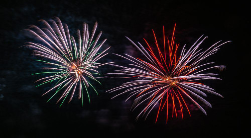 Fireworks 1 Poster Print - Rachel Lee