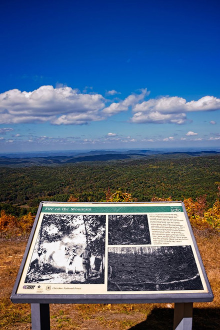 Fire on the Mountain Poster Print - Rachel Lee