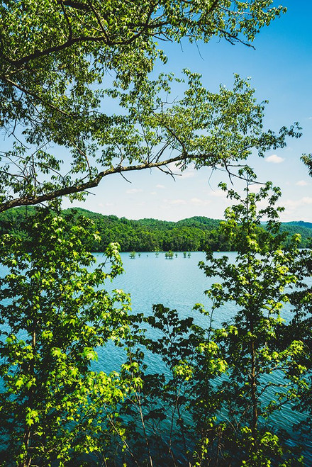 Ocoee Summer 3 Vertical Poster Print - Will Malone