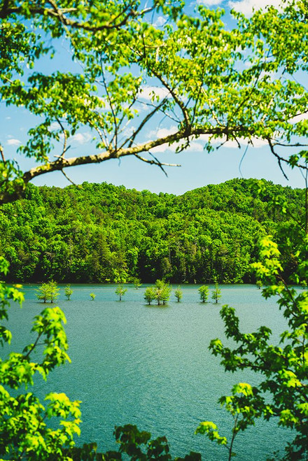 Ocoee Summer 2 Vertical Poster Print - Will Malone
