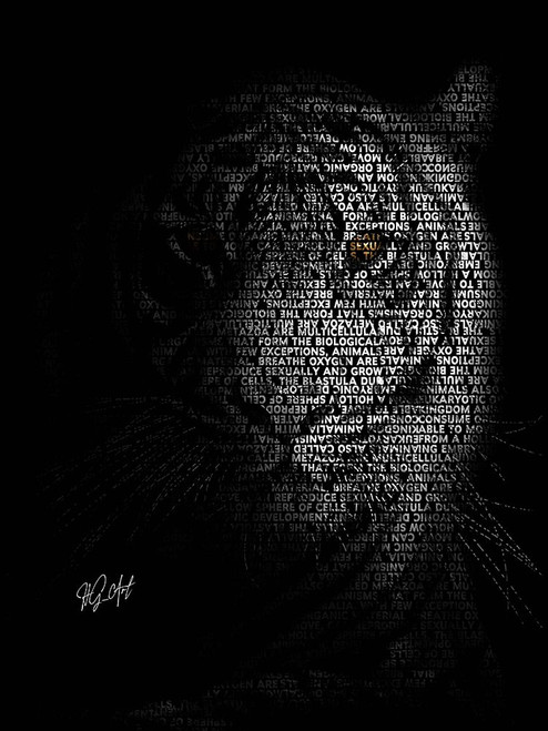 The Tiger Poster Print - Ojenike Oladapo