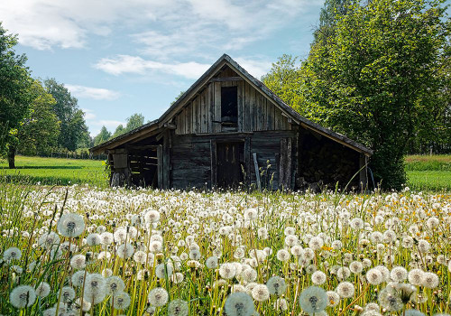 Barn 4 Poster Print - Rachel Lee