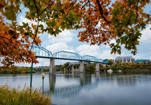 Walnut Leaves Poster Print - Rachel Lee