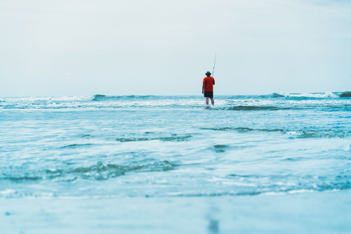 Man in the Sea Poster Print - Will Malone