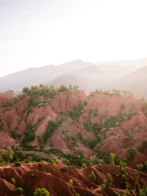 Ourika Poster Print - Raisa Zwart