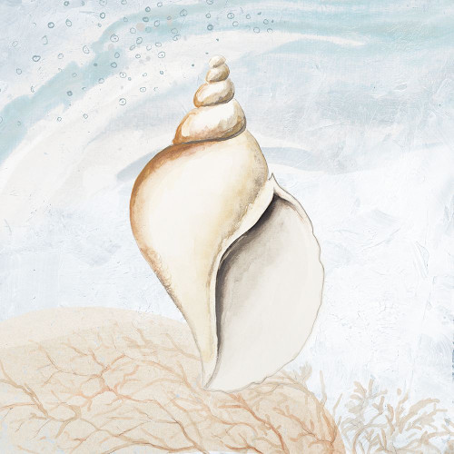 Ocean Oasis Tropical Seashell I Poster Print - Patricia Pinto