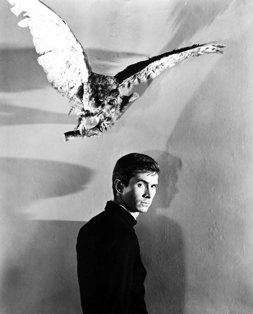Psycho, Anthony Perkins, 1960 Poster Print