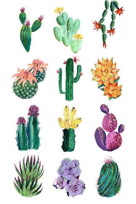 Collection of cacti Poster Print - Blursbyai Rosana Laiz
