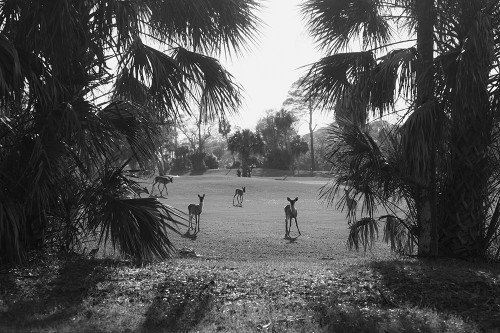 Hey Poster Print - Will Malone