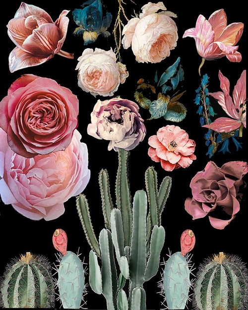Cacti Floral Blooms Botanical Poster Print - Giovanna Nicolo