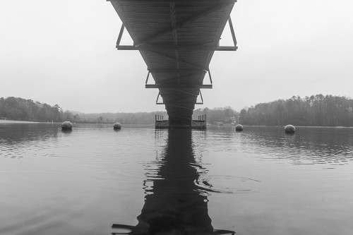 Hartwell Fog 1 Poster Print - Will Malone