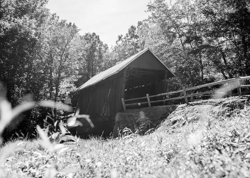 Campbells Covered Monochrome Poster Print - Will Malone