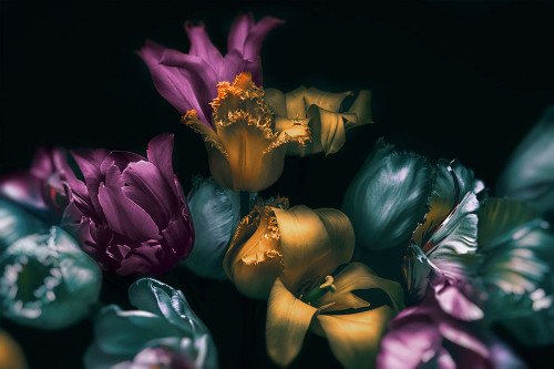 Flores 1 Poster Print - Studio SEA