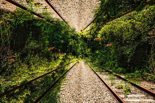 Saluda Tracks Upside Down 3 Poster Print - Will Malone
