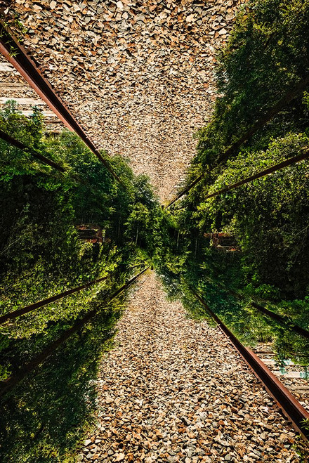 Saluda Tracks Upside Down 2 Poster Print - Will Malone