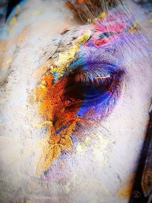 Painted Horse Poster Print - Ruth Day