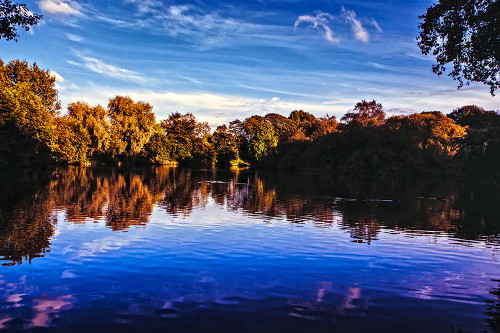 Afternoon Pond Poster Print - Rachel Lee