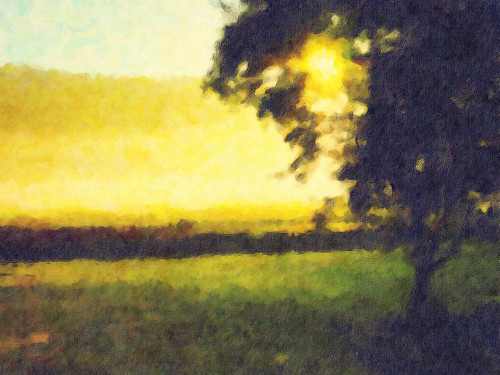 Trees 38 Poster Print - Rachel Lee