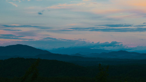 Smokey Morning Poster Print - Will Malone