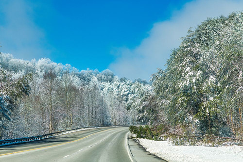 Snow Road Poster Print - Will Malone