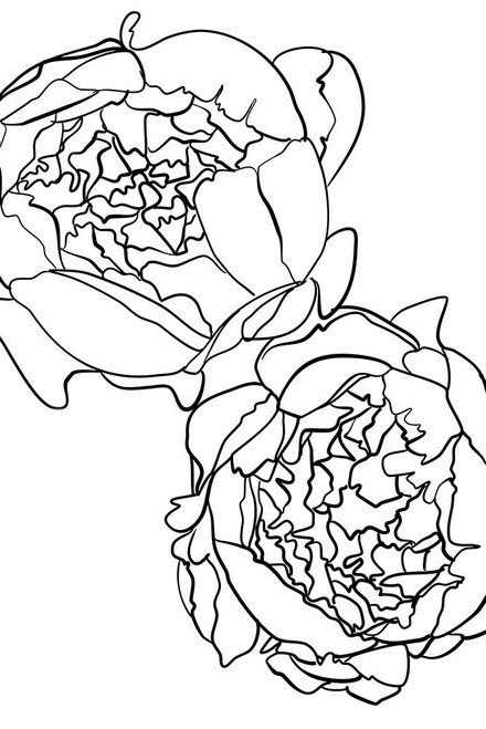 Sallys peonies in black and white Poster Print - Blursbyai Rosana Laiz