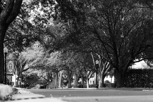 5th Ave Poster Print - Will Malone