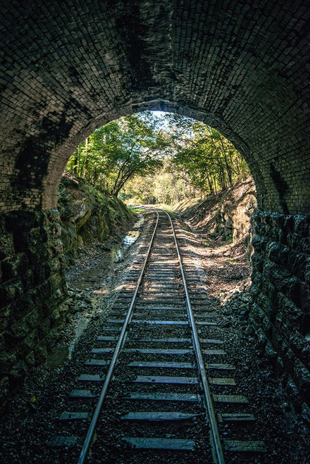 Train Enter Tunnel 1 Poster Print - Rachel Lee