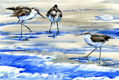 Rockhampton Sandpipers Horizontal Poster Print - Paul Brent