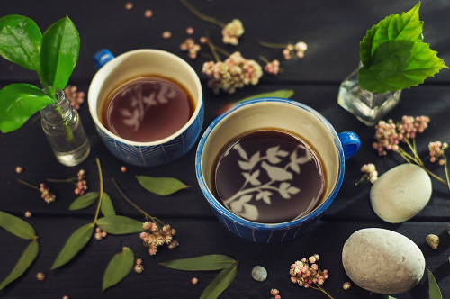 Gardeners tea Poster Print - Dina Belenko