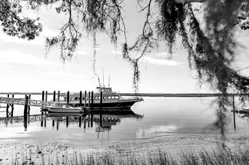 Queen Poster Print - Will Malone