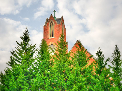 Sky is not the Limit Poster Print - Rachel Lee