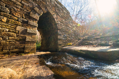 Poinsett Bridge 10 Poster Print - Will Malone