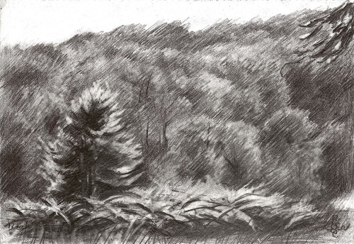 Beek - 21-07-19 Poster Print - Corne Akkers