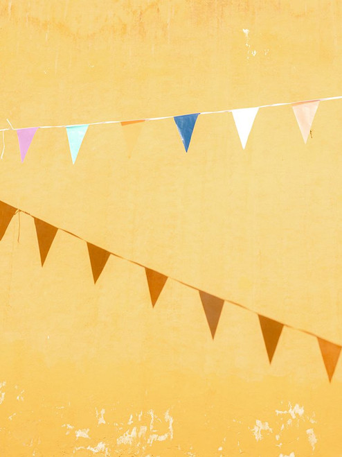 Mexican Flags Poster Print - Raisa Zwart