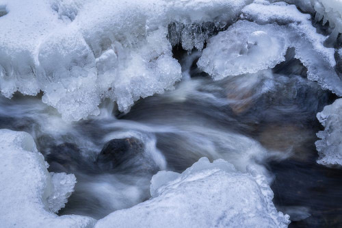 Wei Wu Wei Poster Print - Ludwig Riml