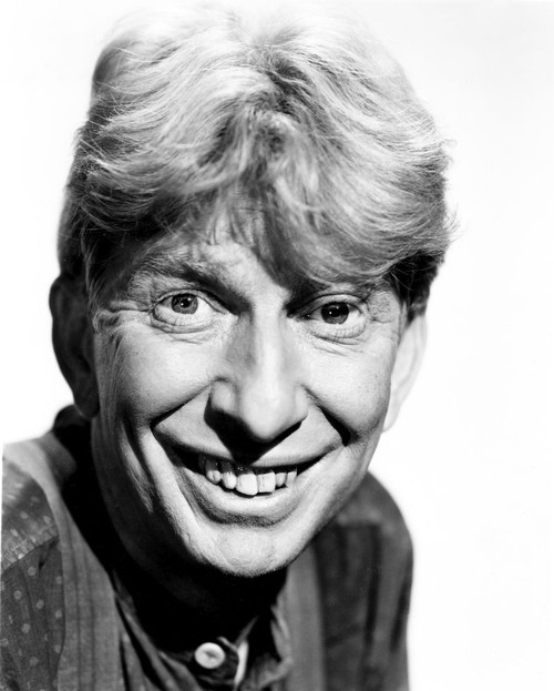 The Beautiful Blonde From Bashful Bend, Sterling Holloway, 1949, Tm And Copyright 20Th Century Fox Film Corp. All Rights Reserved/Courtesy Everett Collection Poster Print