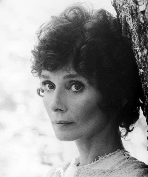 Robin And Marian, Audrey Hepburn, 1976 Poster Print