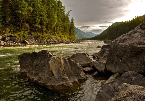 Stream 15 Poster Print - Rachel Lee