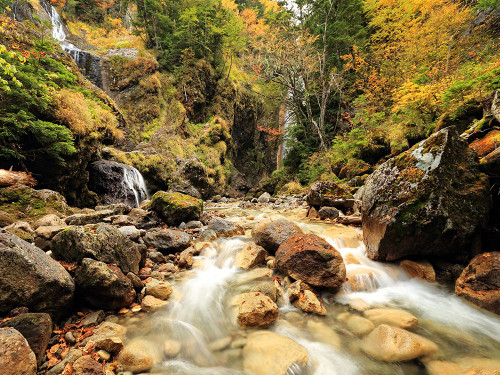 Stream 14 Poster Print - Rachel Lee